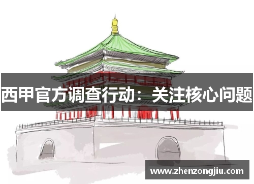 西甲官方调查行动:关注核心问题 西甲官方调查行动:关注核心问题