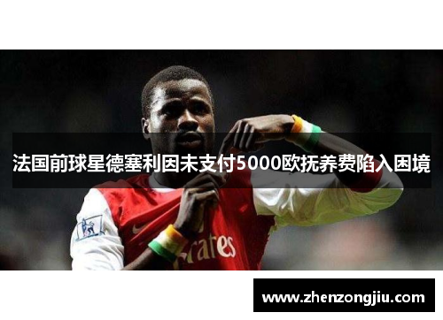 法国前球星德塞利因未支付5000欧抚养费陷入困境 法国前球星德塞利因未支付5000欧抚养费陷入困境